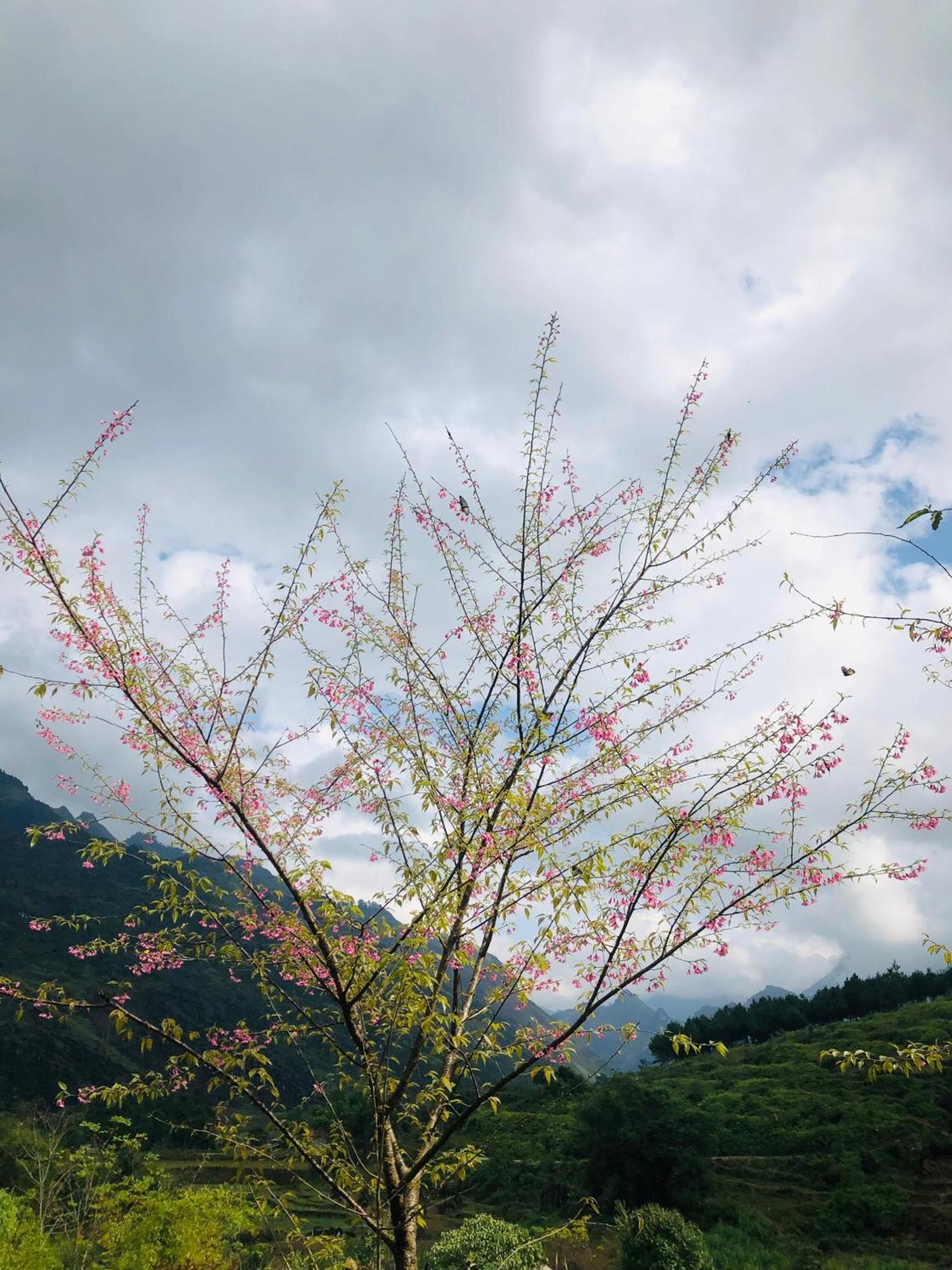 To Day Du Gia Village Làng Cac Buitenkant foto