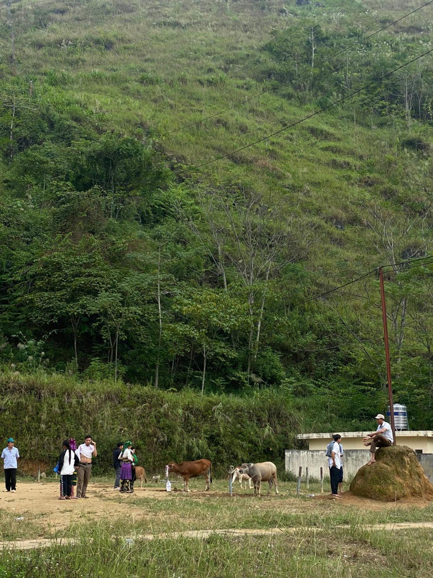 To Day Du Gia Village Làng Cac Buitenkant foto